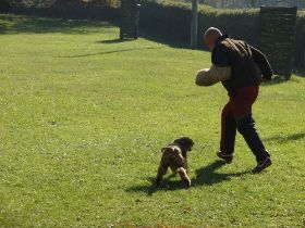 DSC05858_webHQ.jpg