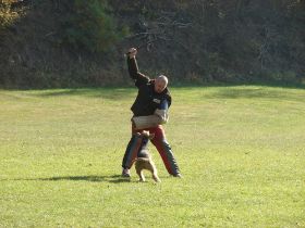 DSC05863_webHQ.jpg