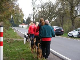 PrüfungHSC2013_11.jpg
