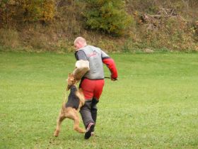 PrüfungHSC2013_12.jpg