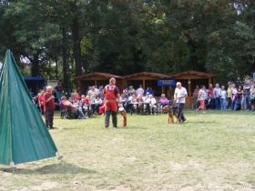Parkfest2013_04.jpg