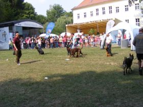 Parkfest2013_09.jpg