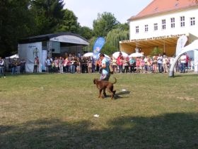 Parkfest2013_10.jpg