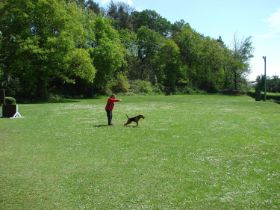 DSC07743_web.jpg