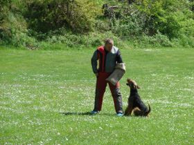 DSC07749_web.jpg