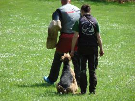 DSC07767_web.jpg