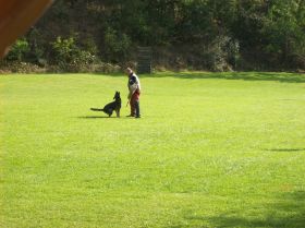 x101_0022.JPG